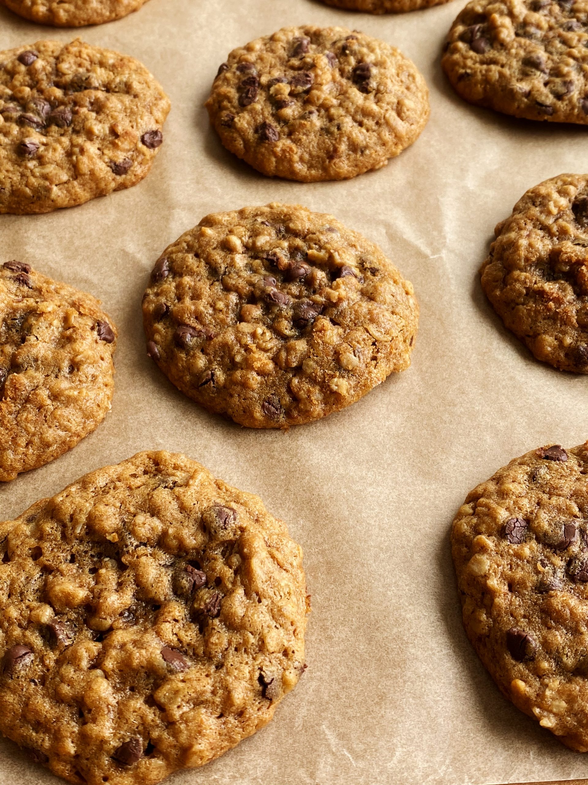 Chocolate Chip Peanut Butter Oatmeal Cookies