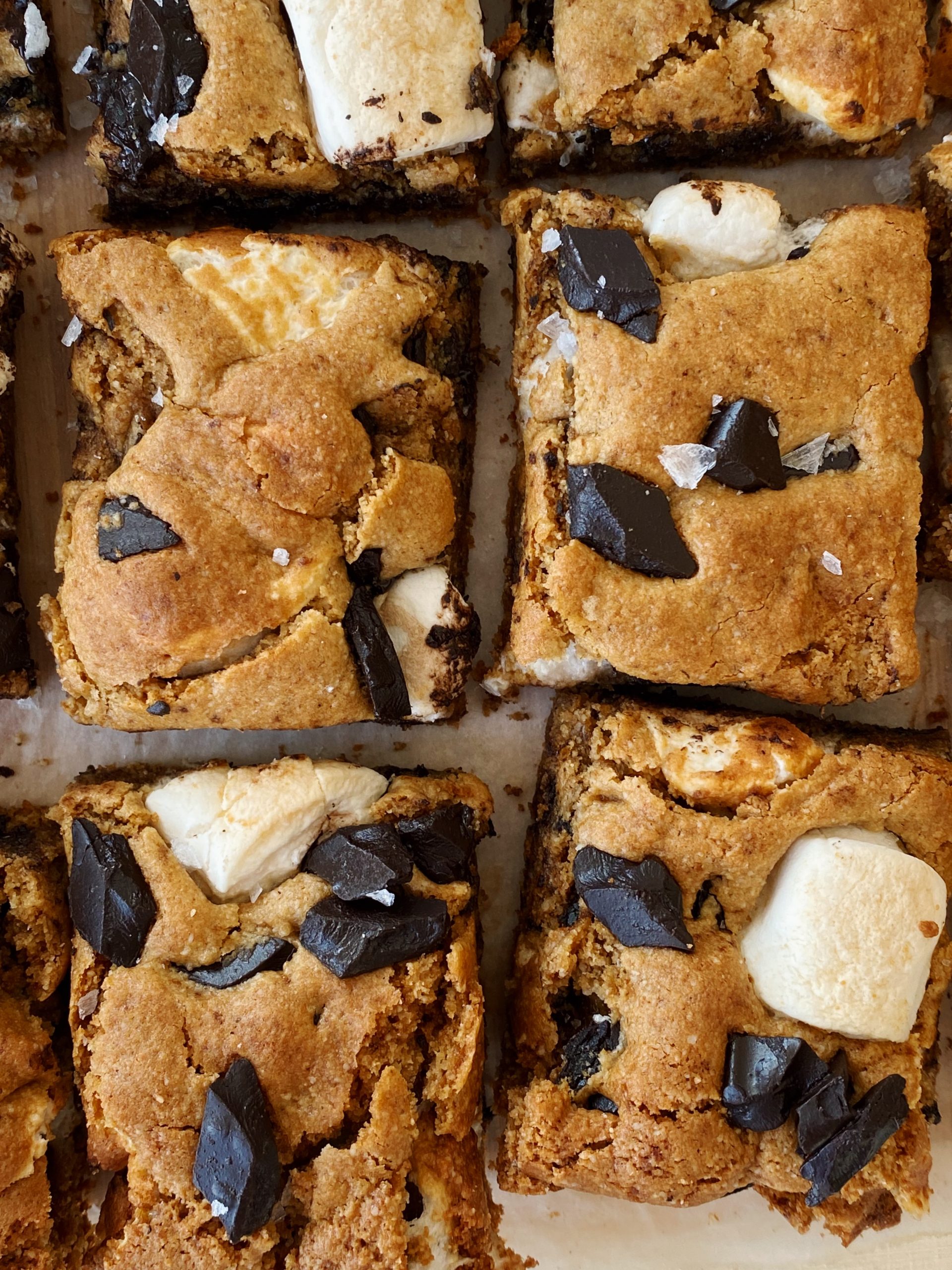 Gluten-free S'mores Blondies