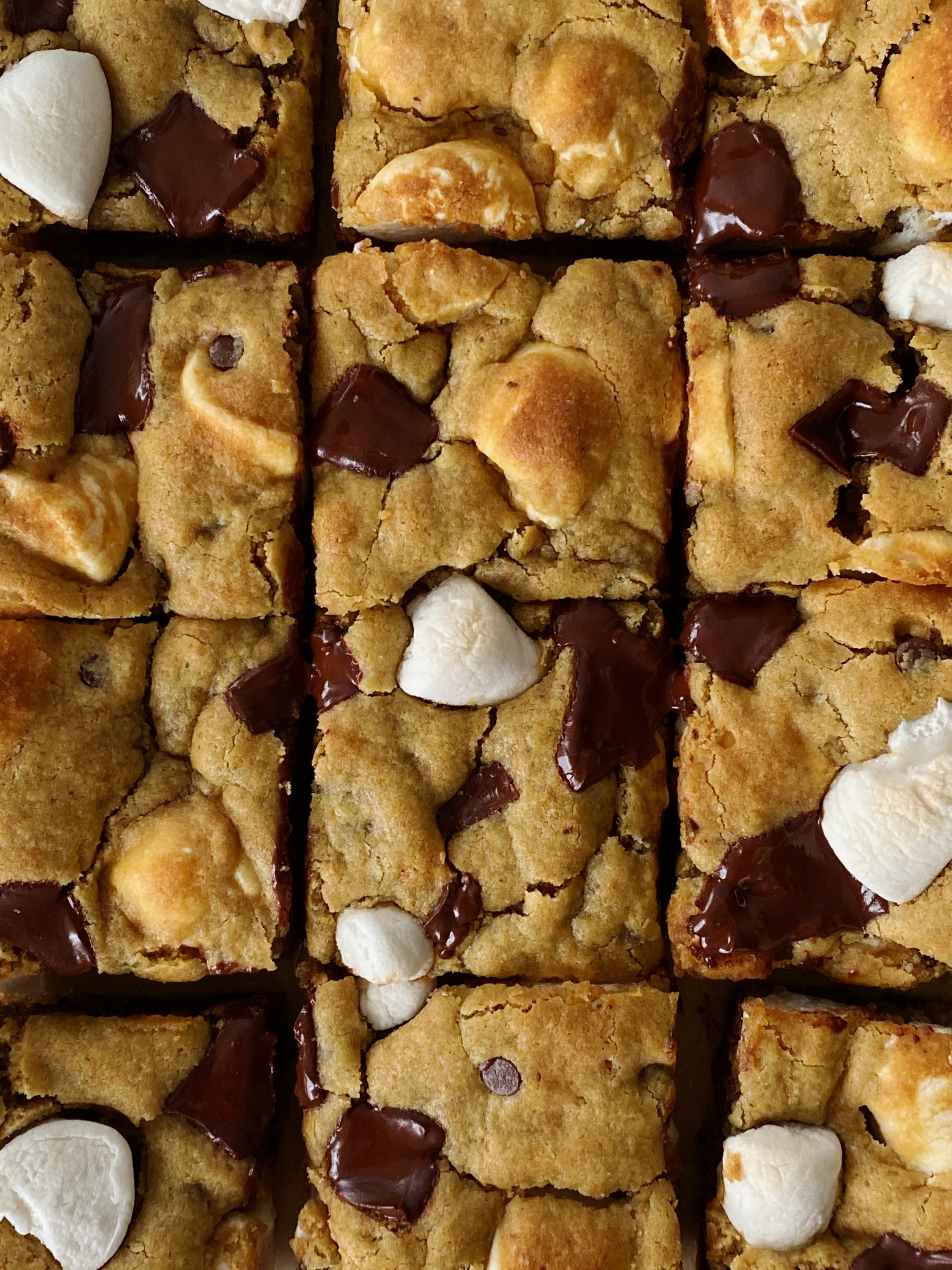 s'mores blondies