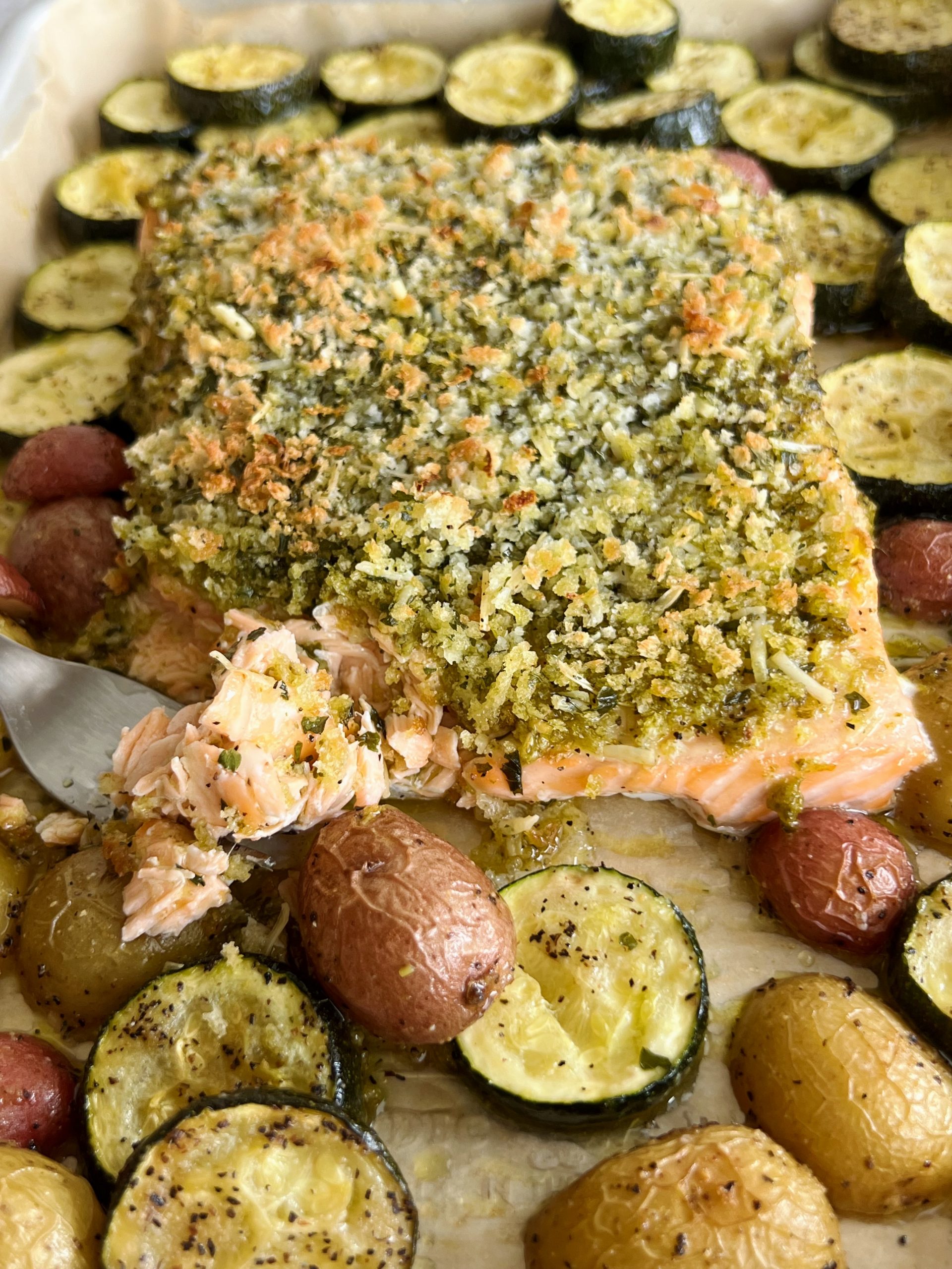 pesto crusted salmon