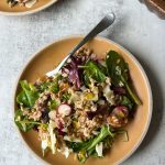 Farro Salad with Apricot Vinaigrette