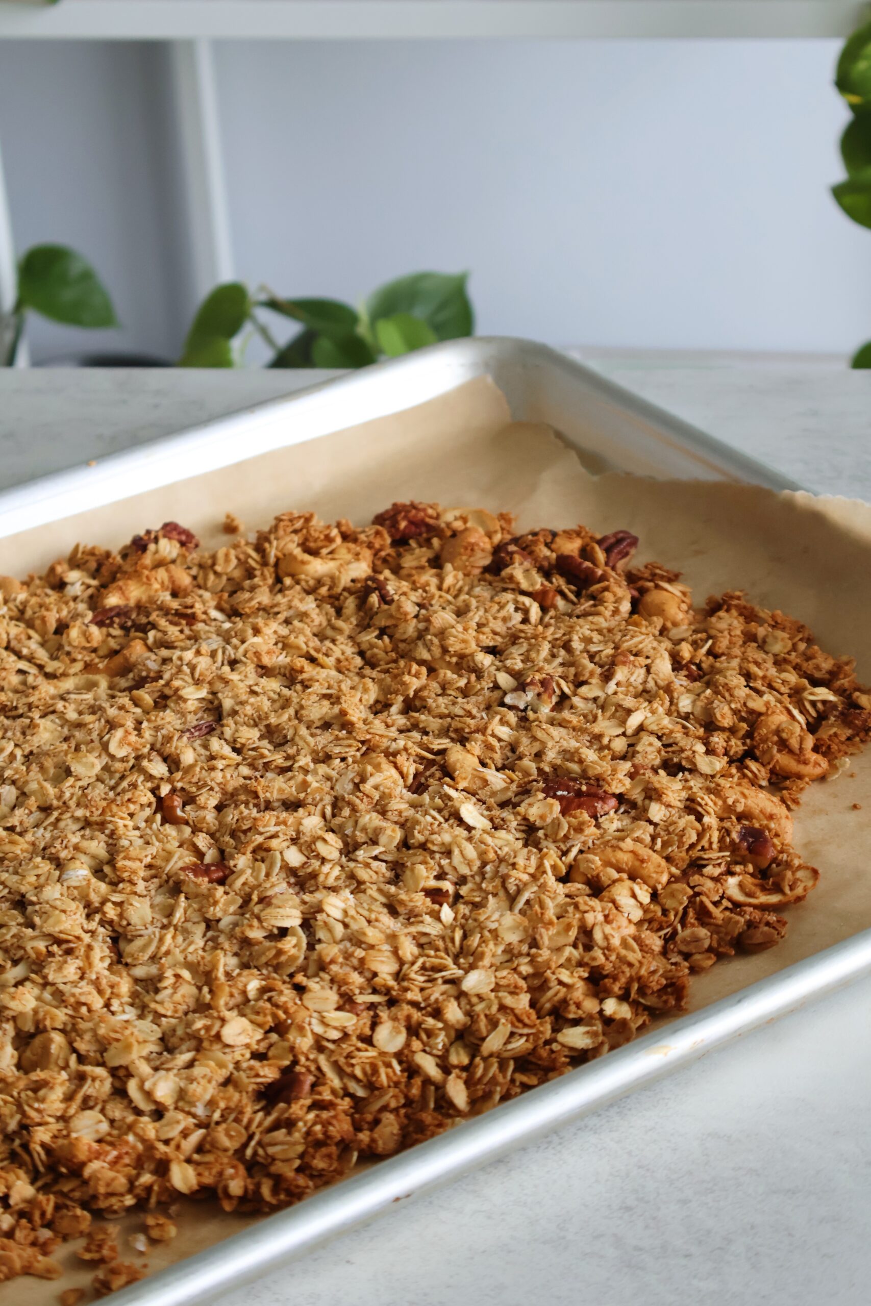 Toasted Coconut Granola